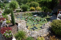 /album/zahradne-inspiracie-mdc5/jazierko-2014-8-jpg/